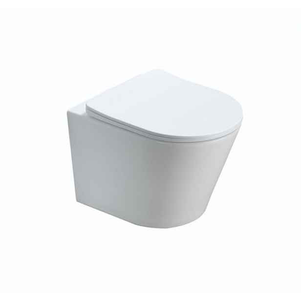 Wc s prkénkem softclose závěsné Swiss Aqua Technologies Infinitio mat zadní odpad SATINF010RREXPWM