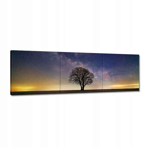 Obrazy 120x40 Osamělý strom a hvězdy