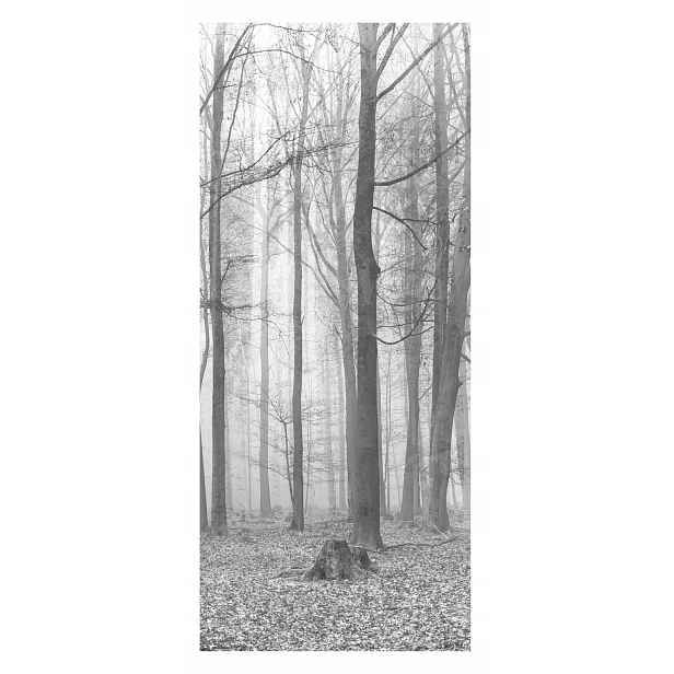 Fototapeta samolepicí Nálepka dýha na dveře
