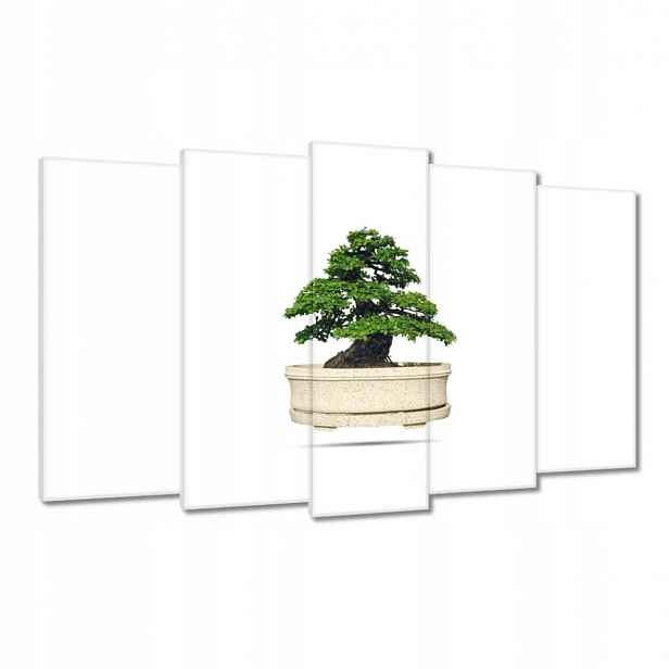 Obrazy 100x60 Stromek Bonsai