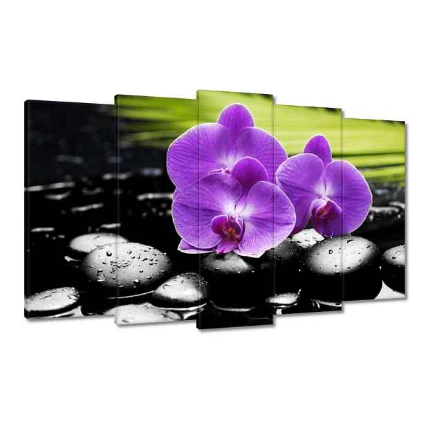 Obrazy 100x60 Fialové orchideje