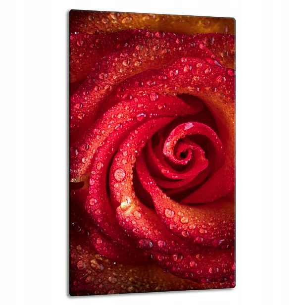 7v1 Skleněná Deska Panel Deska 30x52 Květina