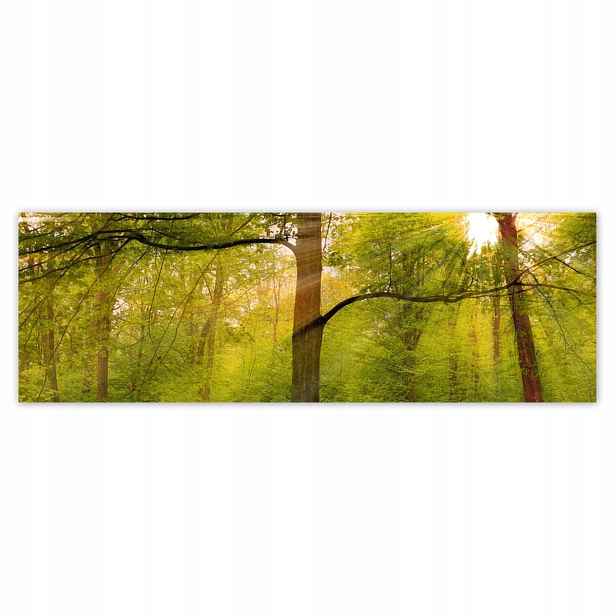 Plakáty 200x66 Kouzelný les Krajina