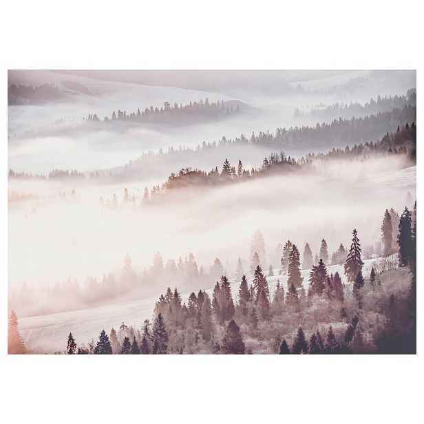 Fototapeta Horská mlha a lesní symfonie v odstínech šedé 416x290 lepidlo