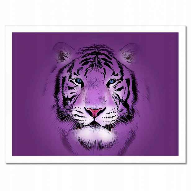 Plakáty v rámu 40x30 Fialový obrázek tygra Tigera