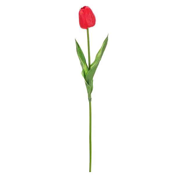 Autronic Tulipán pěnový KN7092 RED - červená