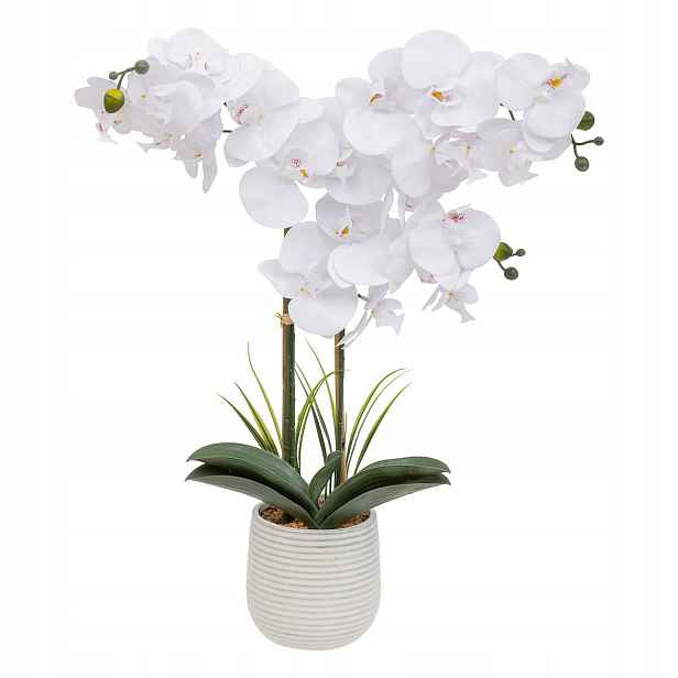 Orchidej V Keramickém Květináči, Riva, 60 CM, Atmosphera