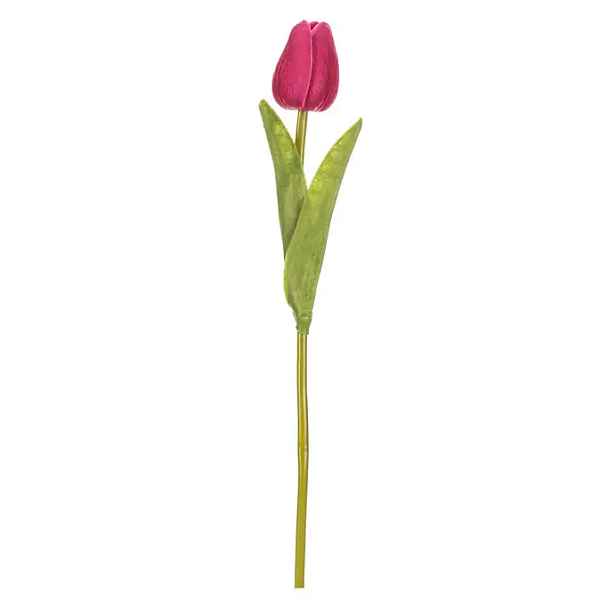 Autronic Tulipán pěnový KN7093 BOR