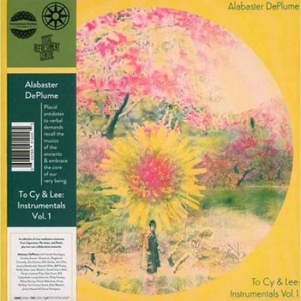 Vinyl Midori Takada Za zrcadlem