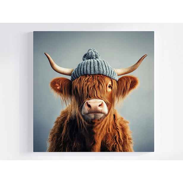 Obraz Na Plátně Canvas Skotská Kráva Highland Portrét Čepice Zima 50x50