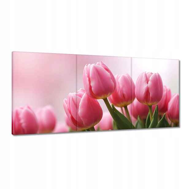 Obrazy 210x100 Růžové tulipány