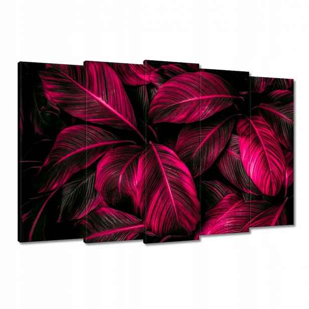Obrazy 150x95 Růžové listy