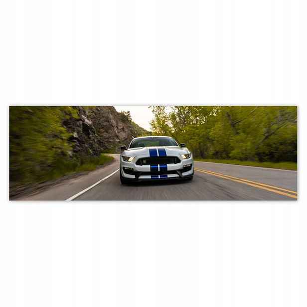 Plakáty 200x66 Ford Mustang Auto Usa