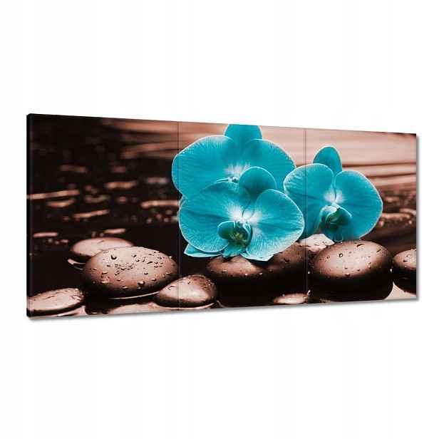 Obrazy 120x60 Tyrkysový orchidej