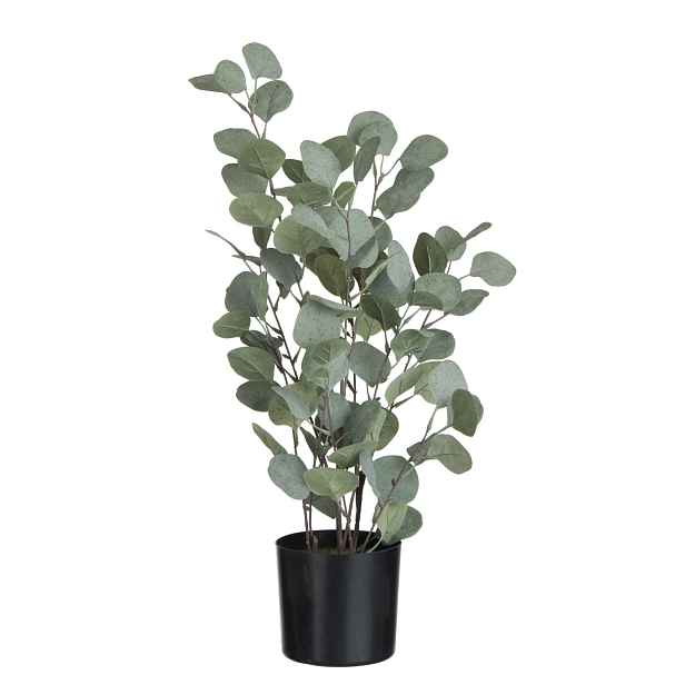 Dekorace Eucalyptus v květináči - Ø14*60 cm J-Line by Jolipa