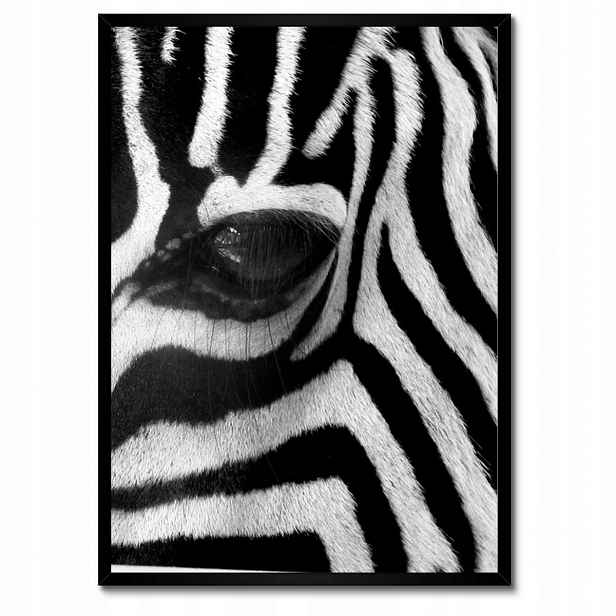Plakáty v rámu 50x70 Černobílé pruhy Zebra