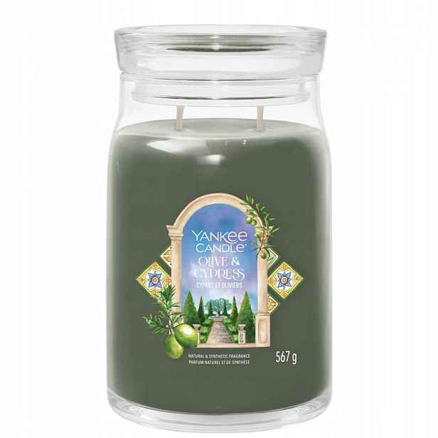 Yankee Candle Olive & Cypress velká vonná svíčka 567 g