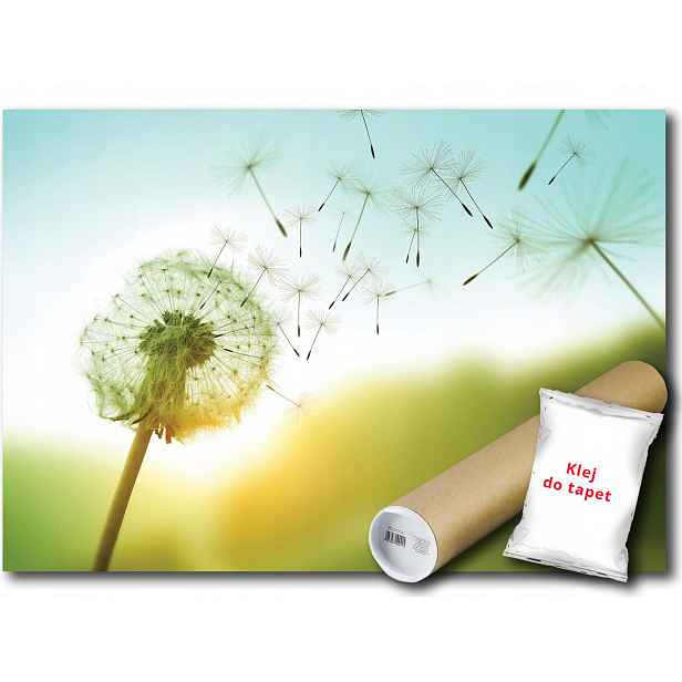 Vinylová Fototapeta Pampeliška Květina 152x104