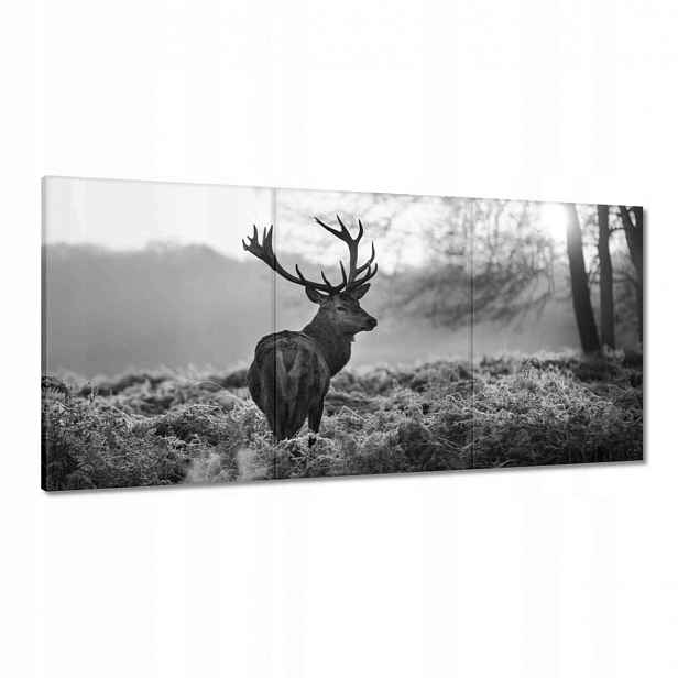 Obrazy 120x60 Černobílý jelen