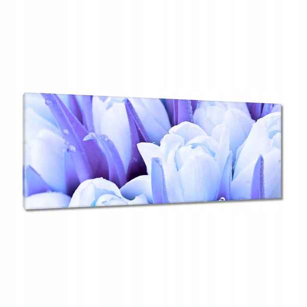 Obrazy 100x40 Modré tulipány