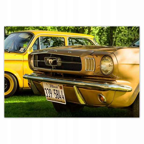 Plakáty 200x135 Form Mustang vyrobené v Usa