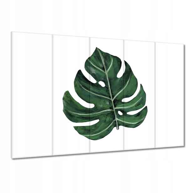 Obrazy 100x70 Monstera Zelený list