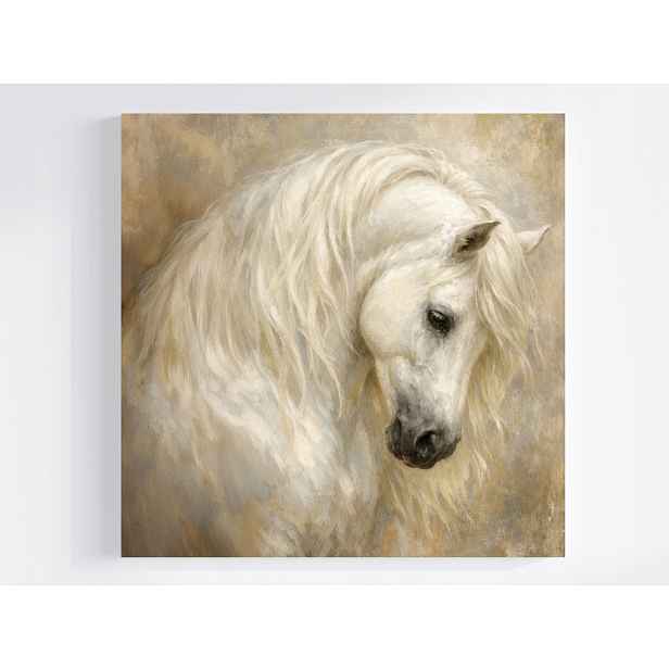 Obraz Na Plátně Canvas Fauna Příroda Zvíře Portrét Kůň Béžová Bílá 50x50