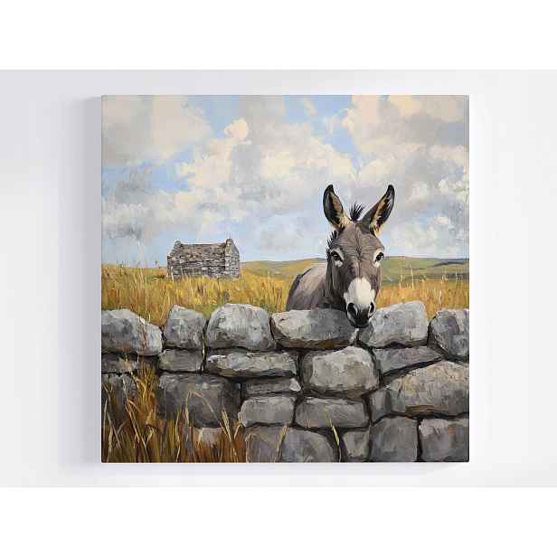 Obraz Na Plátně Canvas Příroda Irsko Zeď Obec Osel 50x50