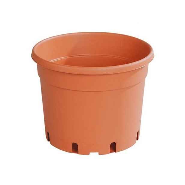 květ. d15cm CLASSIC MCI /dez.+EAN/1,5l TER