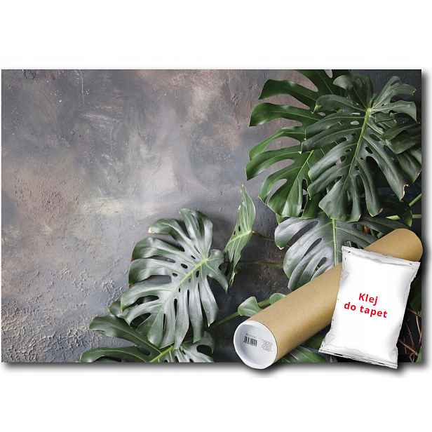 Vinylová Fototapeta Monstera Stěna Zeď 152x104