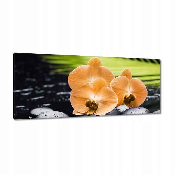 Obrazy 100x40 Oranžové orchideje