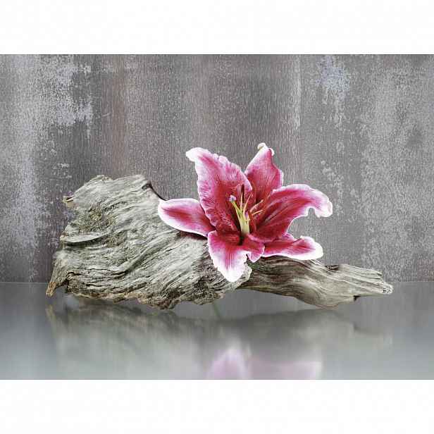 Euroart OBRAZ NA SKLE, zen, 30/40 cm - Skleněné obrazy - 0057210791