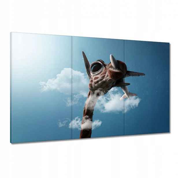 Obrazy 120x80 Letadla Letadlo