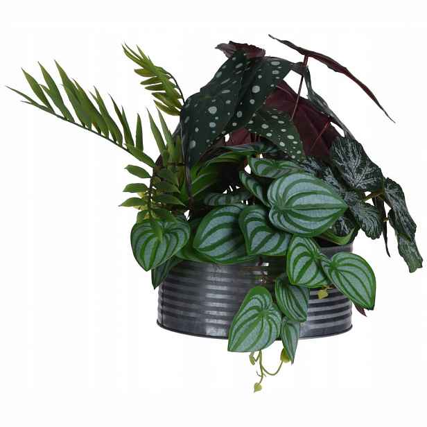 Umělý Květ Begonia Maculata V Květináči Plast 39X29X34 CM