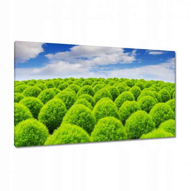 Obrazy 120x70 Zelený pohled Dolina