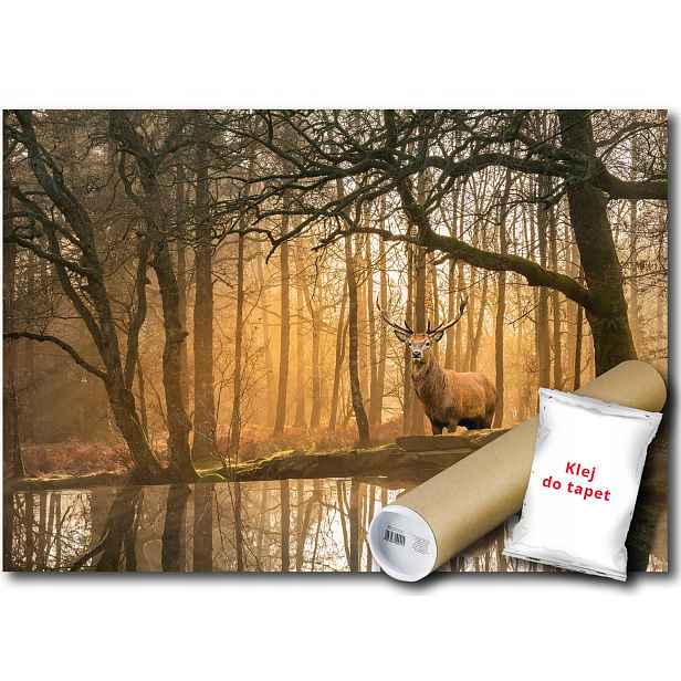 Fototapeta Flizelina Les Stromy Jelen 254x184
