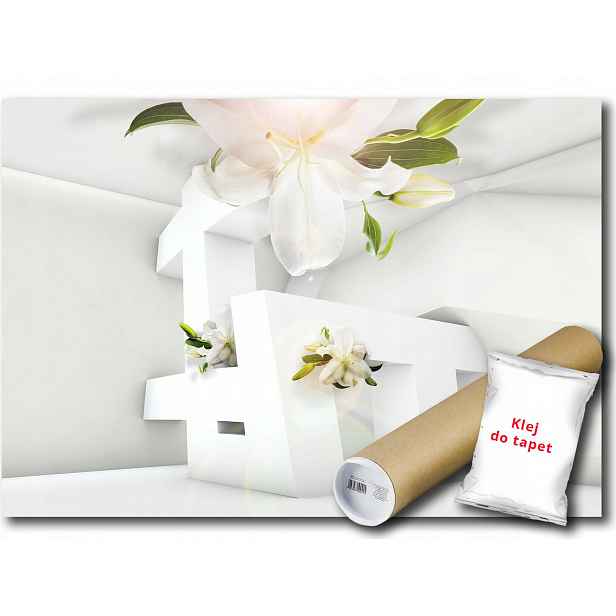 Vinylová Fototapeta Abstrakce Květina 3D 152x104