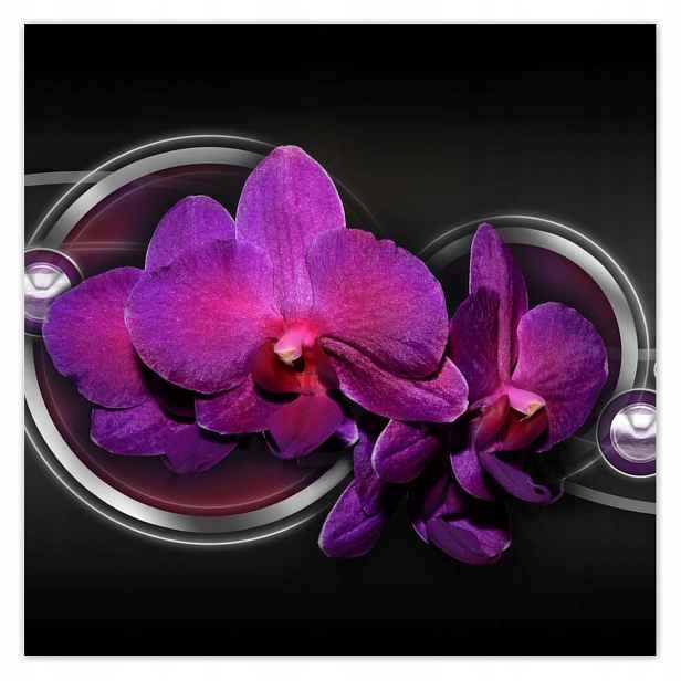 Plakáty 140x140 Fialová orchidej