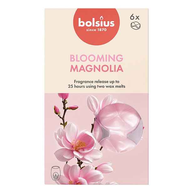 Bolsius VOSKY VONNÉ MAGNOLIE, SADA 6KS