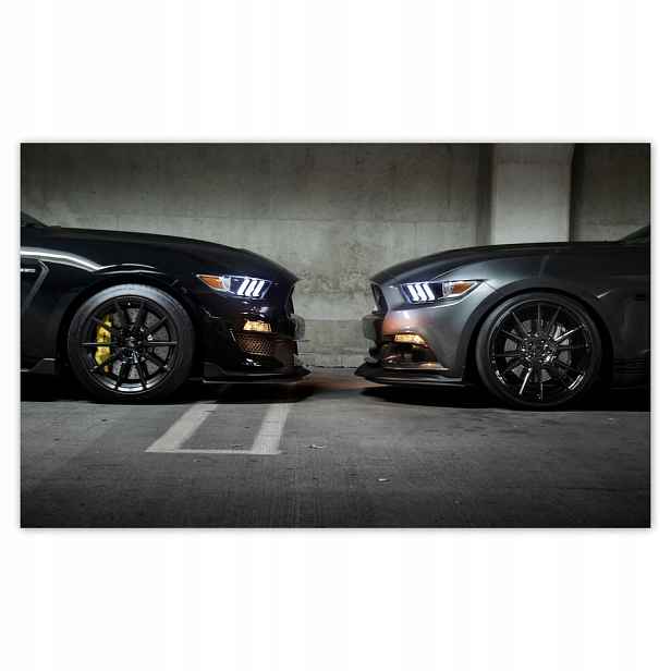 Fototapety flizelina 520x318 Obličej na obličej Mustang