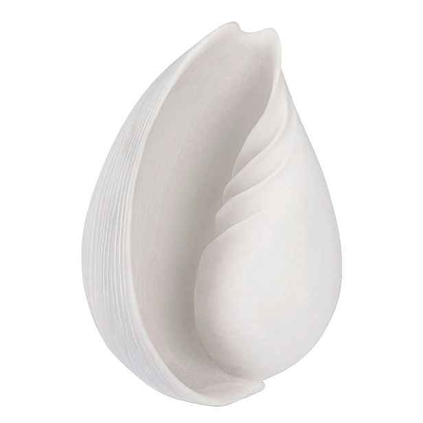 Soška z polyresinu (výška 30,5 cm) Conch – Mette Ditmer Denmark