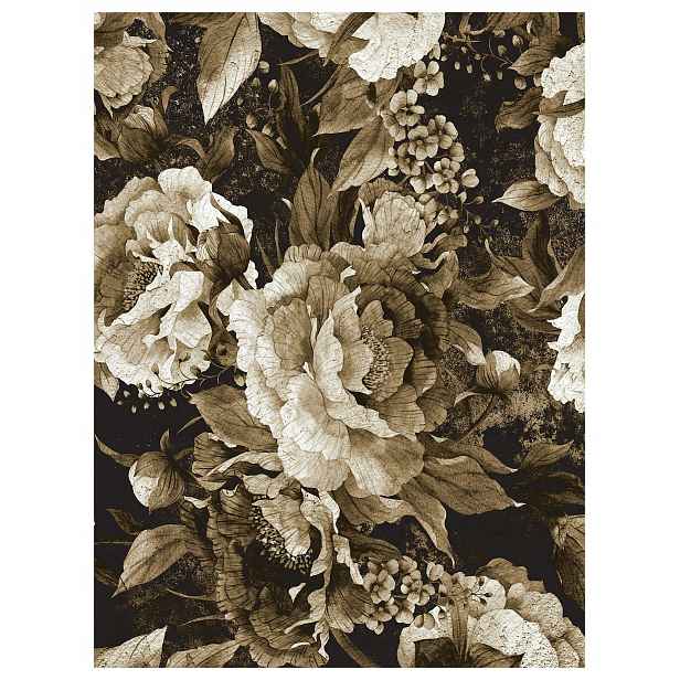 Tapeta Pivoňky Kamelie Květiny Vintage na tmavém pozadí vinylová 184x254 lepidlo