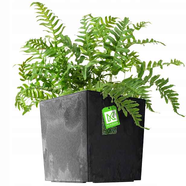 Květináč Květináč 30cm Obal Na Květináč Plastový Záhon Černý Vklad