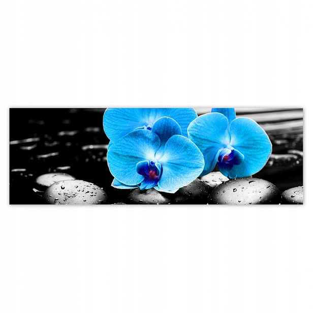Fototapety 200x66 Modrý orchidej