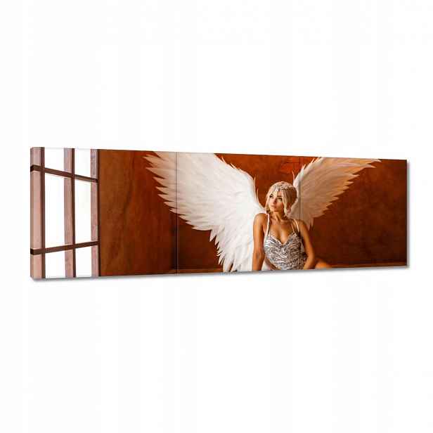 Obrazy 120x40 Andělka žena