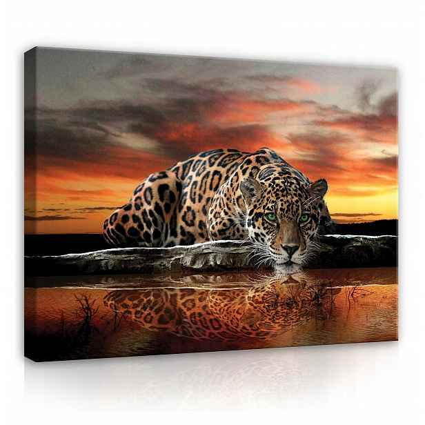 Obraz Tygr Zvířata Velký Safari Ložnice Obývací Pokoj Na Plátně Zeď 100x70