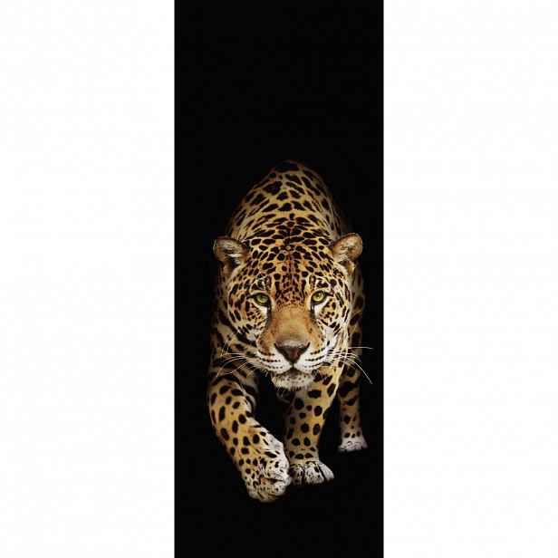 Euroart OBRAZ NA SKLE, zvířata, 30/80/1,40 cm - Skleněné obrazy - 0057210780