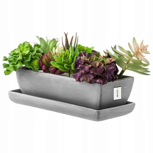 Kaktusová květináč Keramika tmavě šedá 29 Cm, podstavec, sukulenty, kaktusy