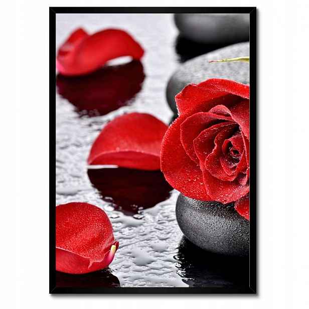 Plakáty v rámu 50x70 Červené růže Kameny