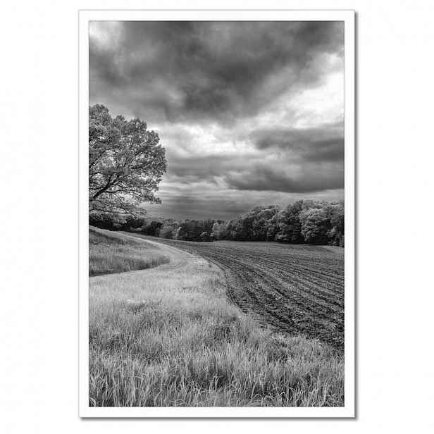 Plakáty v rámu 40x60 Černobílé pole